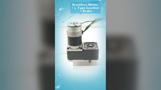 Moteur sans balais avec boîte de vitesses de type L et frein intégré